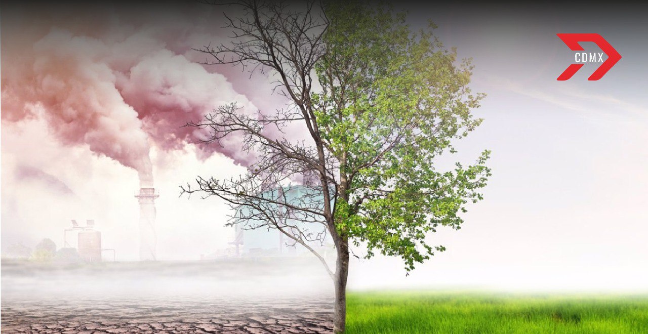 México avanza en la lucha contra el cambio climático con su nueva planta