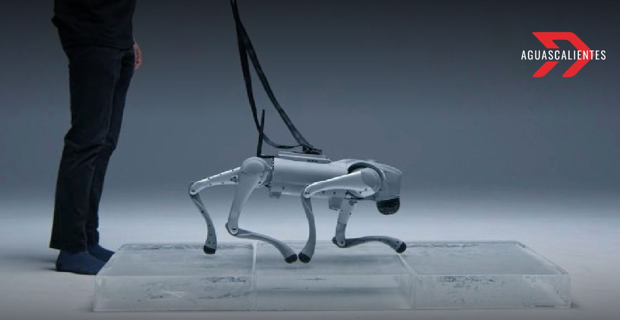 Luna: El perro robot de IntuiCell que aprende y se adapta como un ser vivo