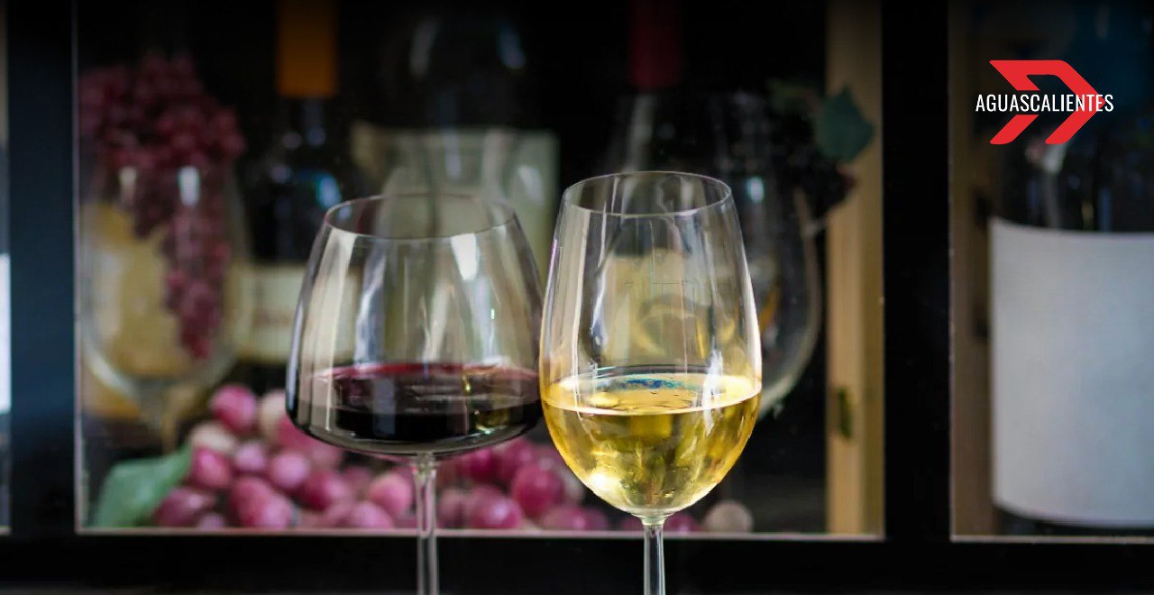 Feria del Vino de Aguascalientes celebra 9 años con récord de expositores