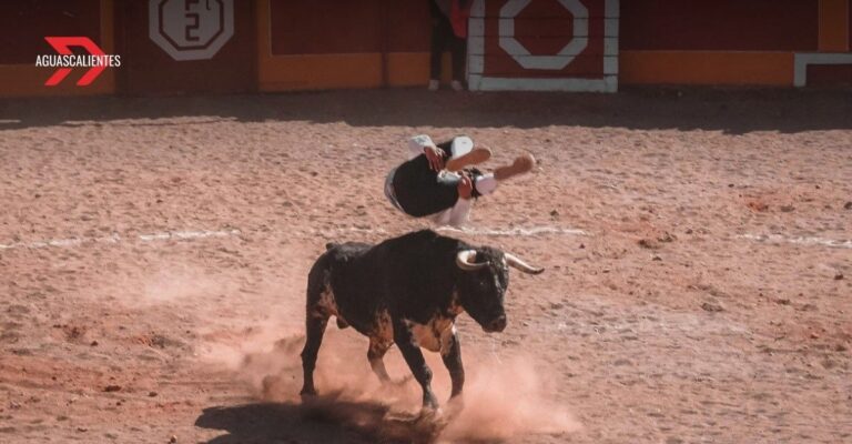 Las corridas de toros y peleas de gallos, patrimonio de Aguascalientes