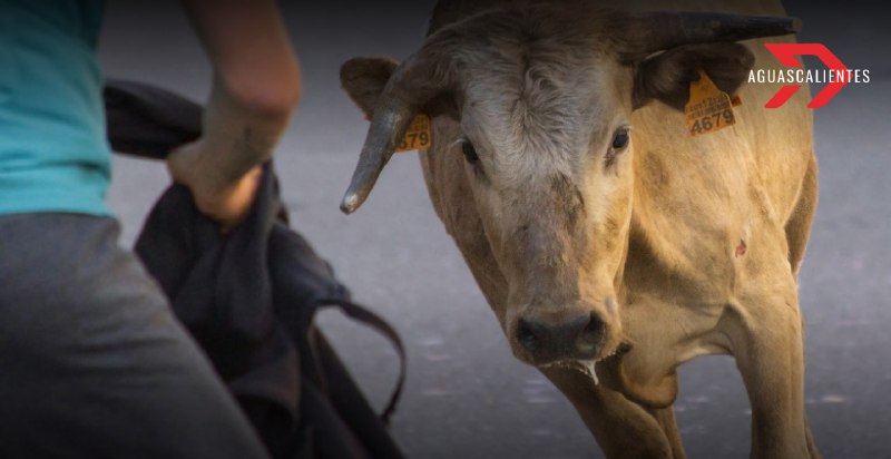 ¿Habrá corridas de toros en la Feria de San Marcos 2025?
