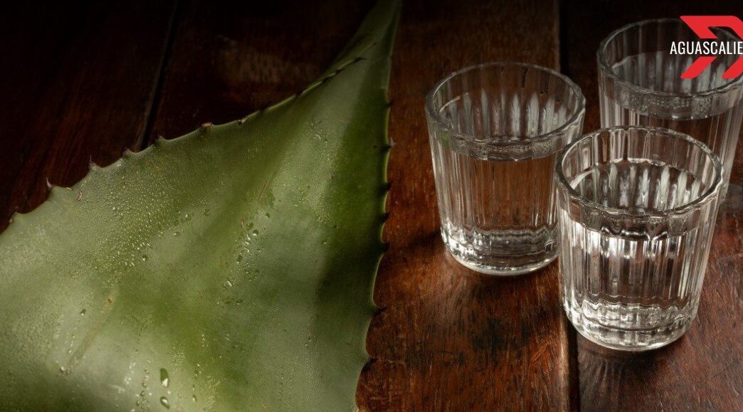 Aguascalientes recibe nombramiento mezcal