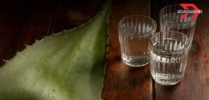 Aguascalientes recibe nombramiento mezcal