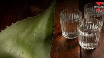 Aguascalientes recibe nombramiento mezcal