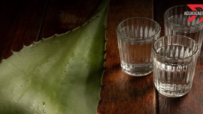 Aguascalientes recibe nombramiento mezcal