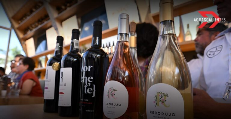 Aguascalientes busca obtener la Indicación Geográfica para sus vinos y guayabas