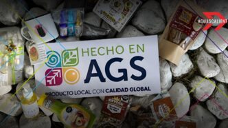 hecho en aguascalientes