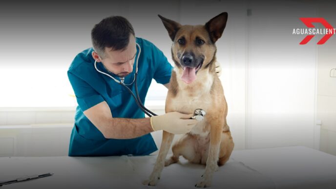 Quirófano Veterinario Móvil Aguascalientes