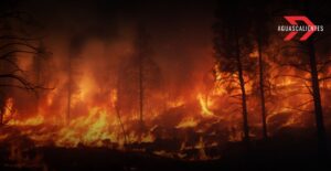 Aguascalientes reporta más de 1,200 hectáreas quemadas en intensa temporada de incendios