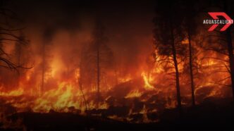 Aguascalientes reporta más de 1,200 hectáreas quemadas en intensa temporada de incendios