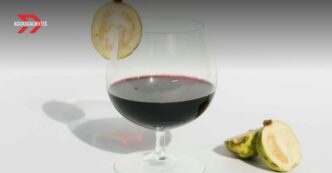 Calvillo, el Pueblo Mágico de Aguascalientes que conquista con vino, guayaba y queso artesanal