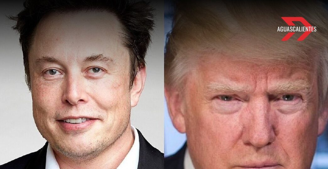 Donald Trump y Elon Musk bajan el tono tras confrontación pública: ¿Reconciliación en puerta?