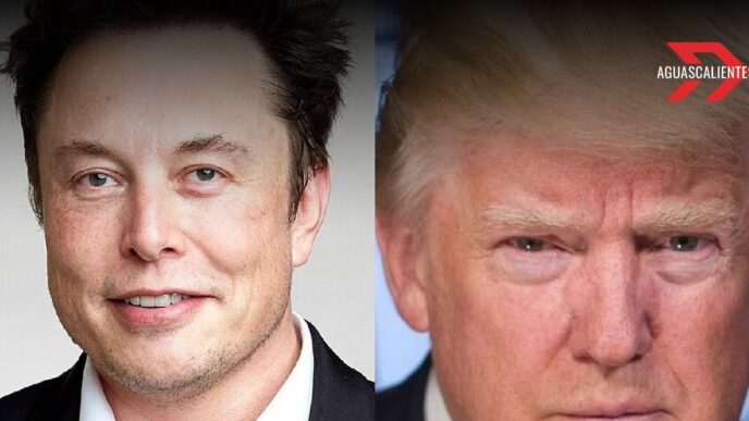 Donald Trump y Elon Musk bajan el tono tras confrontación pública: ¿Reconciliación en puerta?